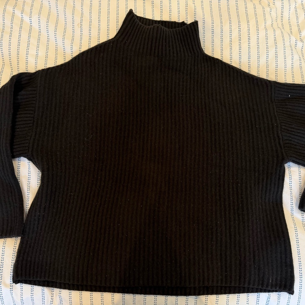 Everlane Turtleneck Sweater